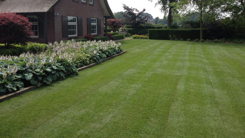 Schut Graszoden - Uitgelichte afbeelding - Achterhoek