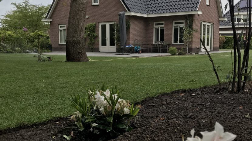 Schut Graszoden - Deventer-uitgelichte afbeelding